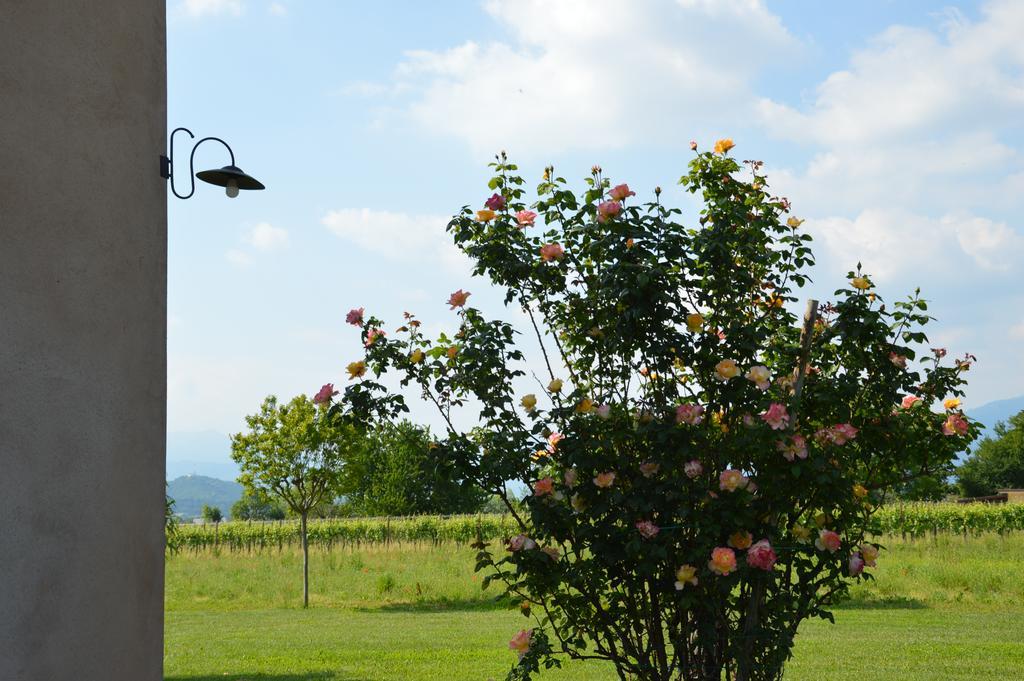 Agriturismo Morgan Montebelluna Buitenkant foto